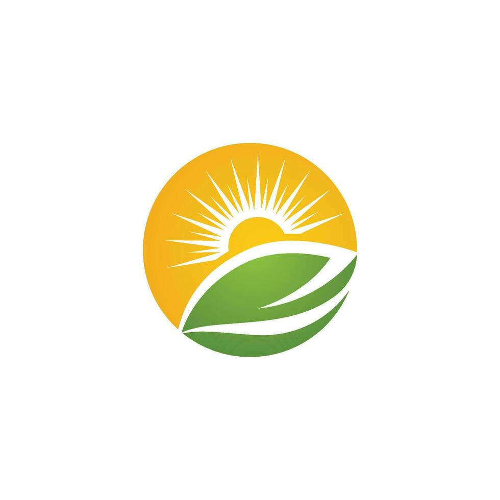 Sun Vector illustration Icon