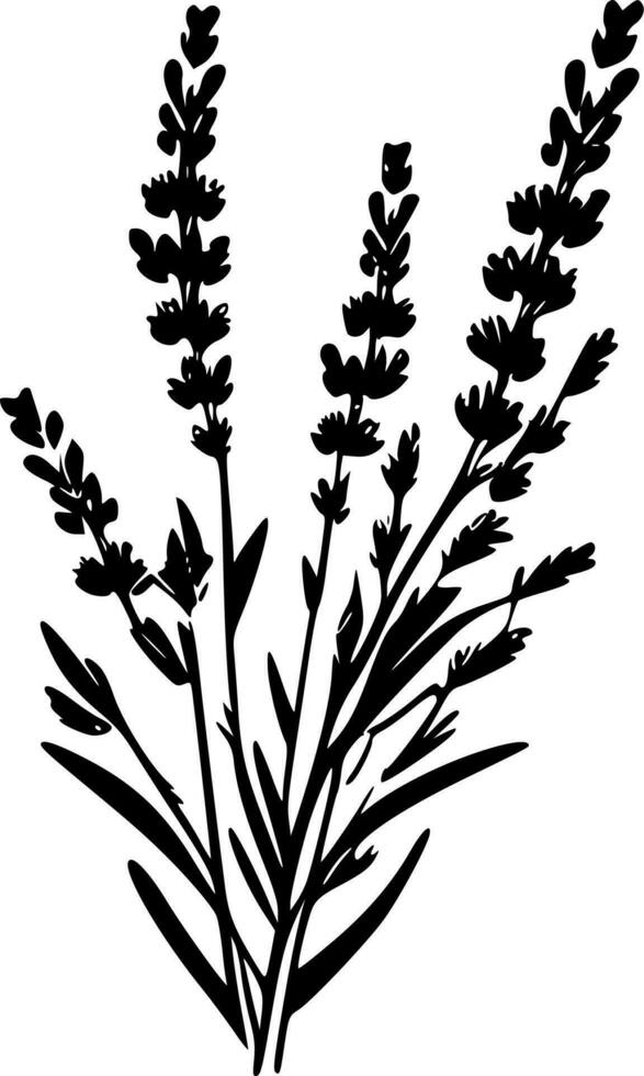 lavanda, minimalista y sencillo silueta - vector ilustración