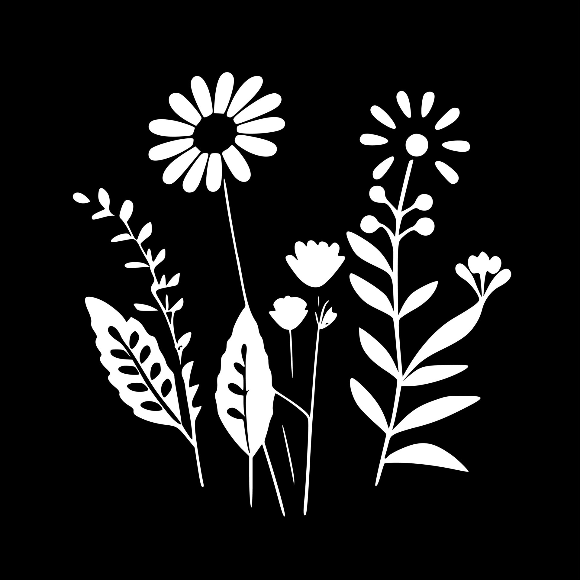 Spring Flowers, Black and White Vector illustration 23557930 Vector Art