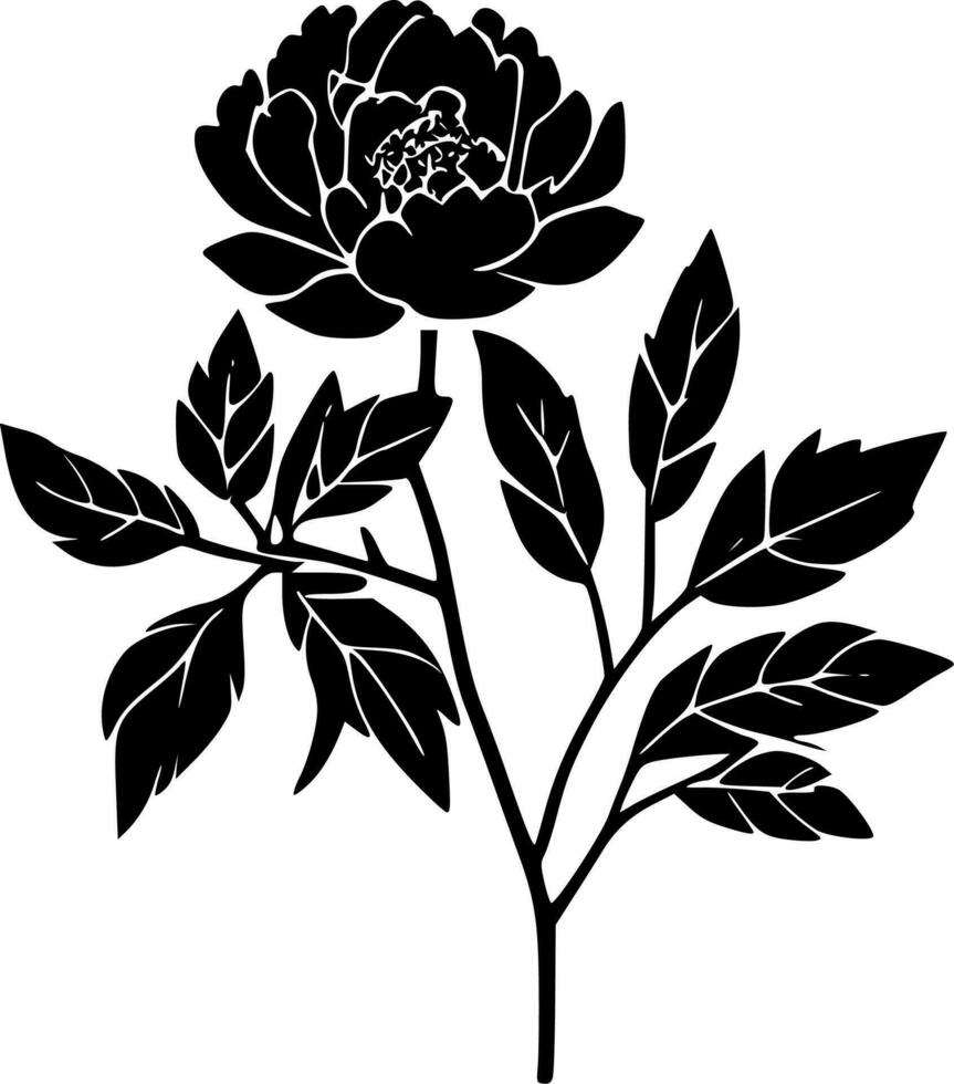Peony - High Quality Vector Logo - Vector illustration ideal for T-shirt graphic