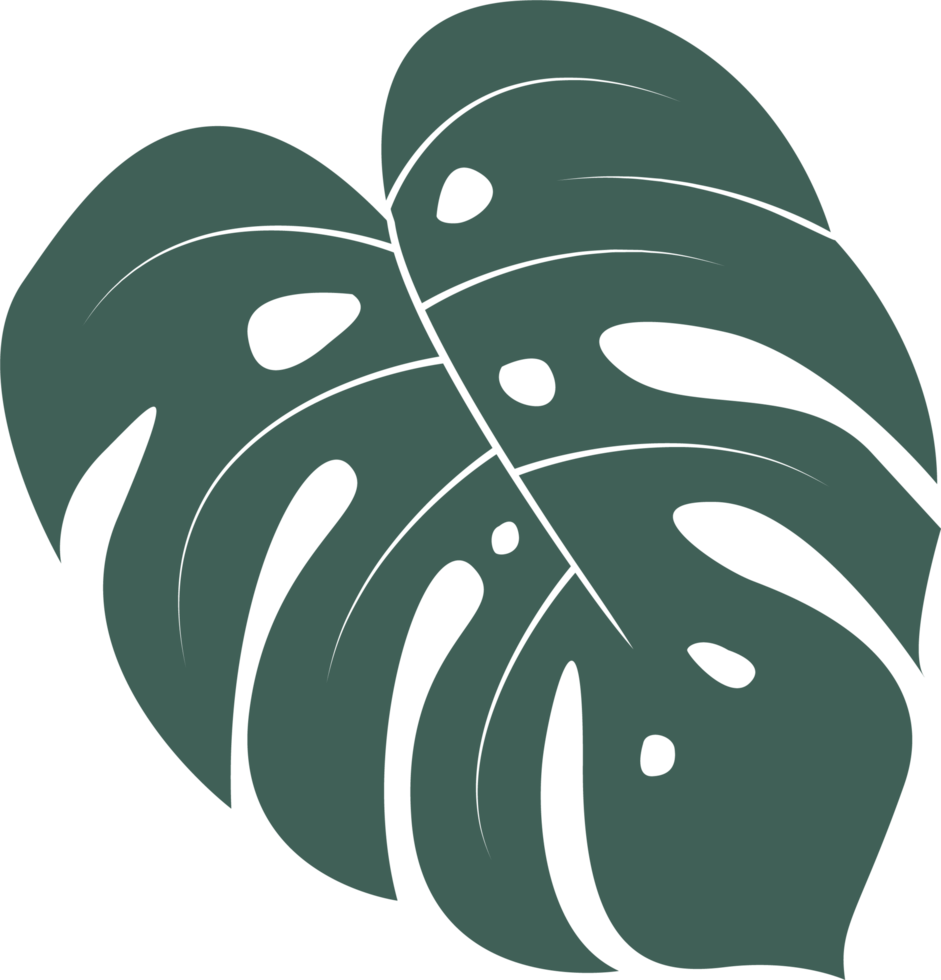 Line art leaf png