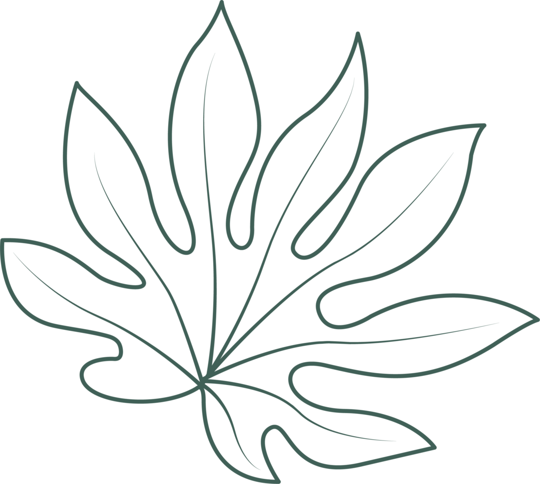 Line art leaf png