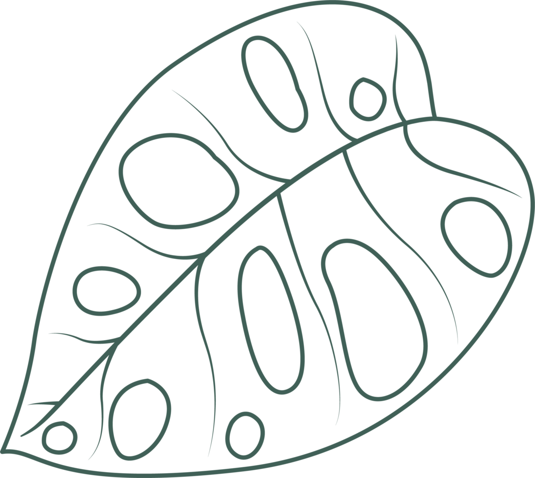 Line art leaf png
