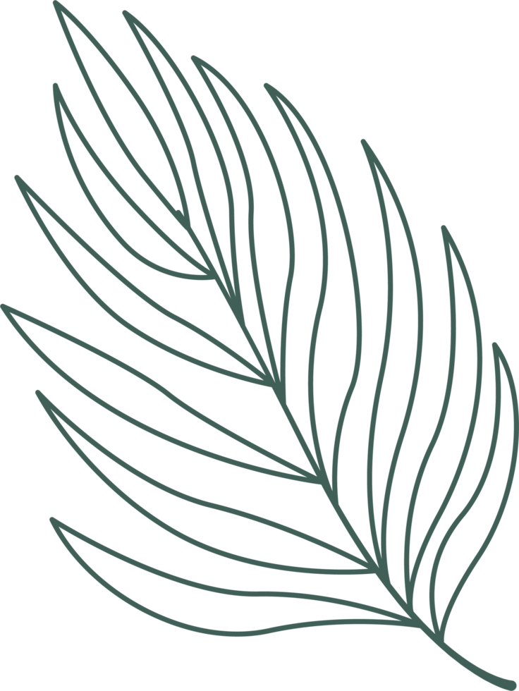 Line art leaf png