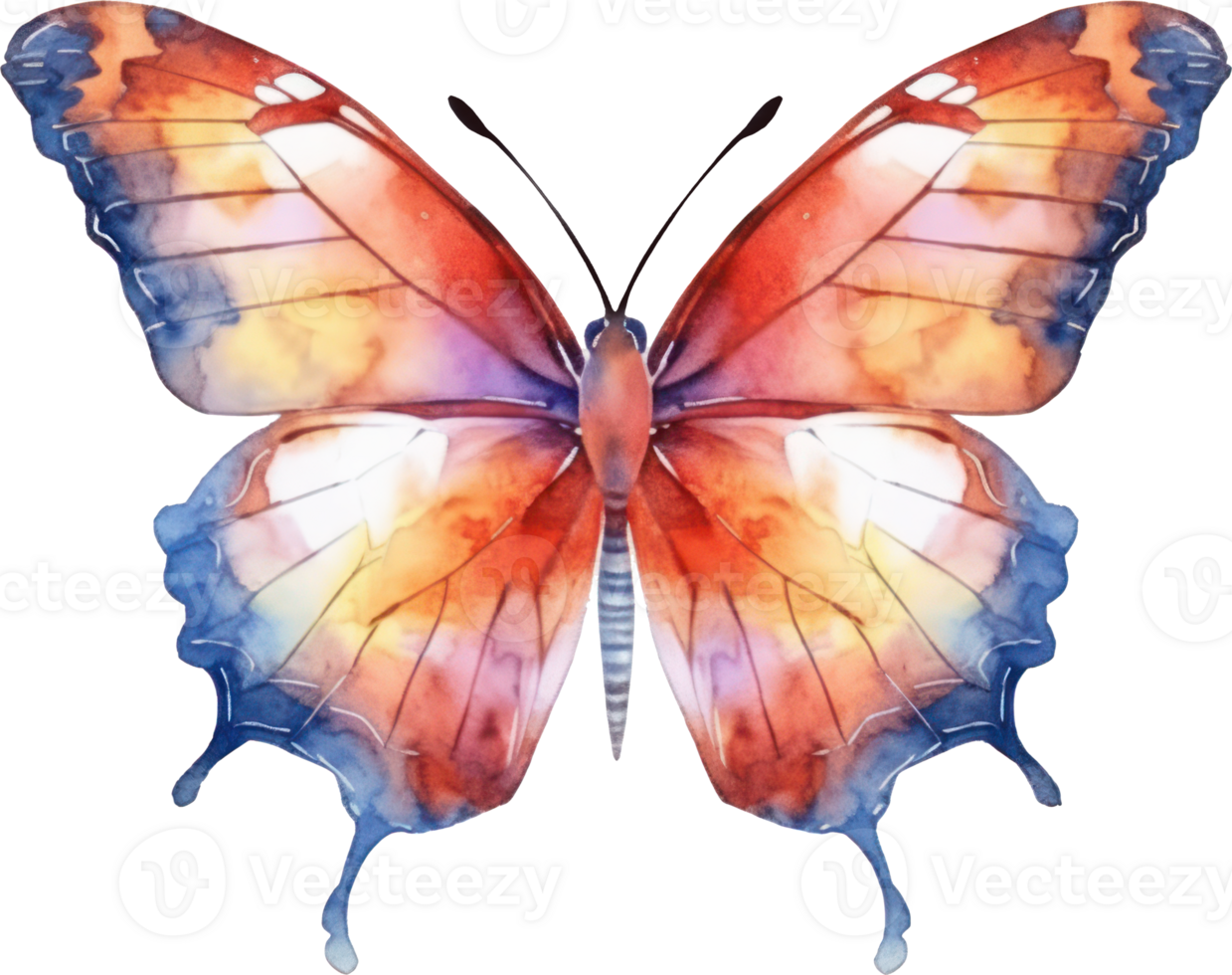 Butterfly Watercolor Illustration. png