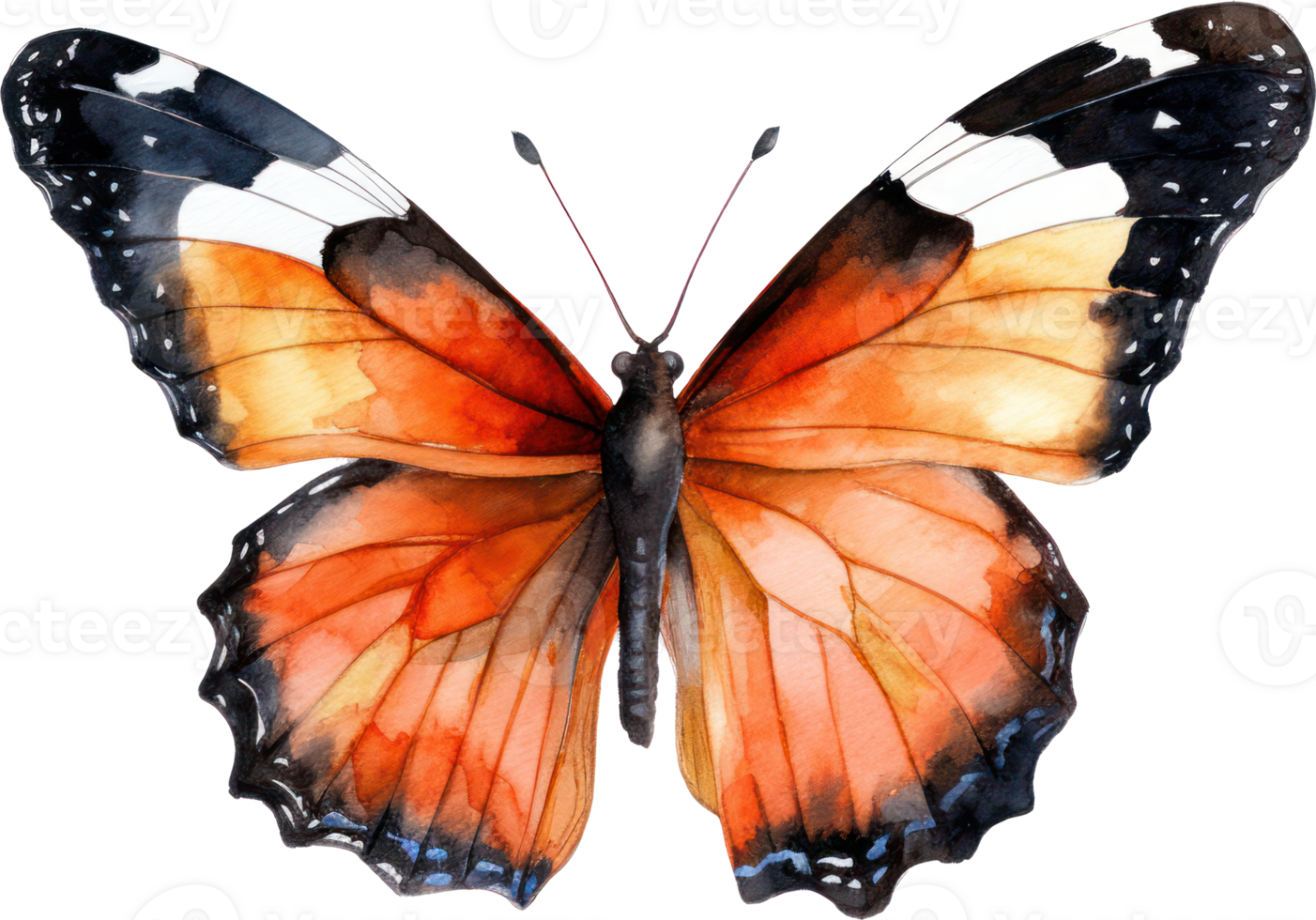 Butterfly Watercolor Illustration. png