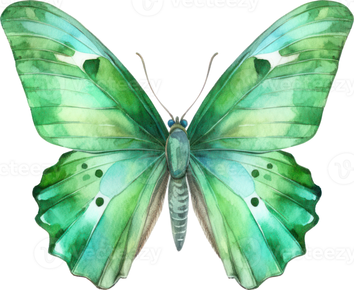 mariposa acuarela ilustración. ai generado png