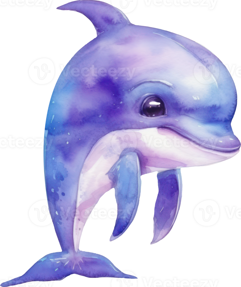 Cute Dolphin Watercolor illustration. png