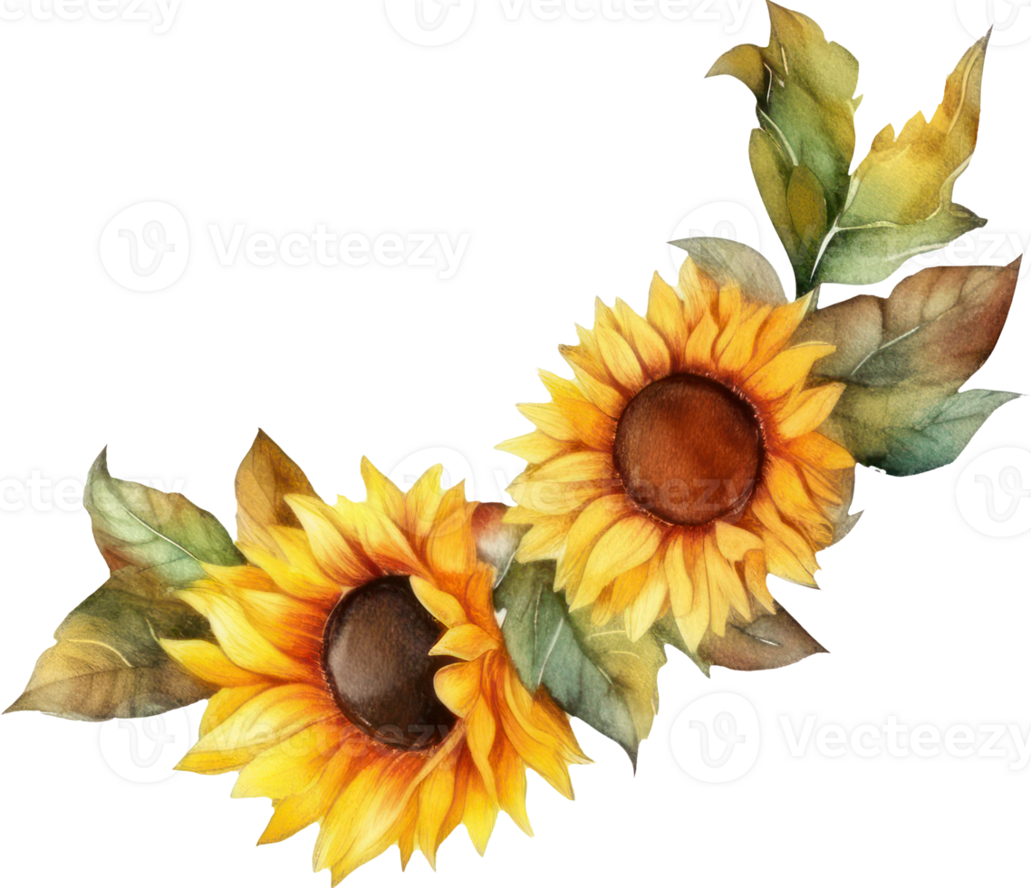 Sunflowers Decorative Watercolor Illustration. png