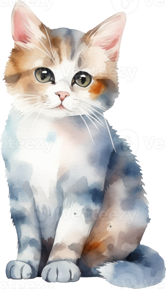 Cute Kitty Cat Watercolor. png