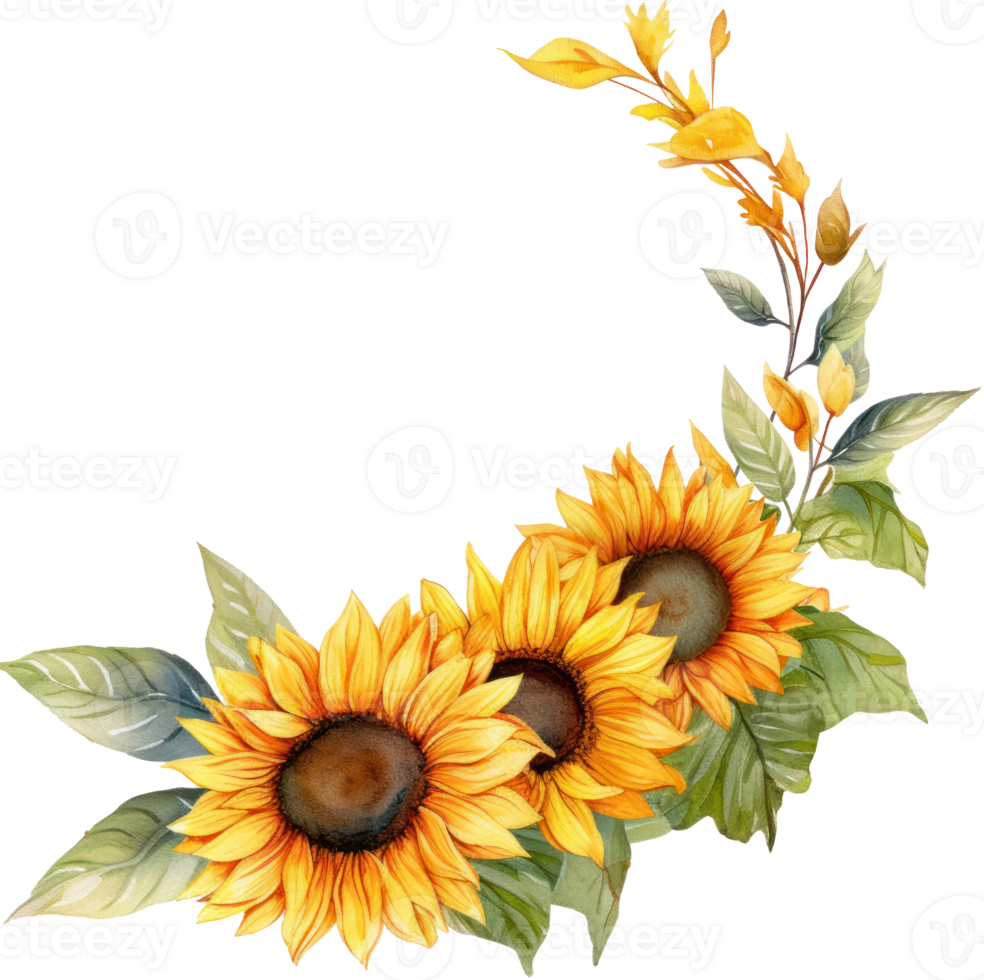 Sunflowers Decorative Watercolor Illustration. png