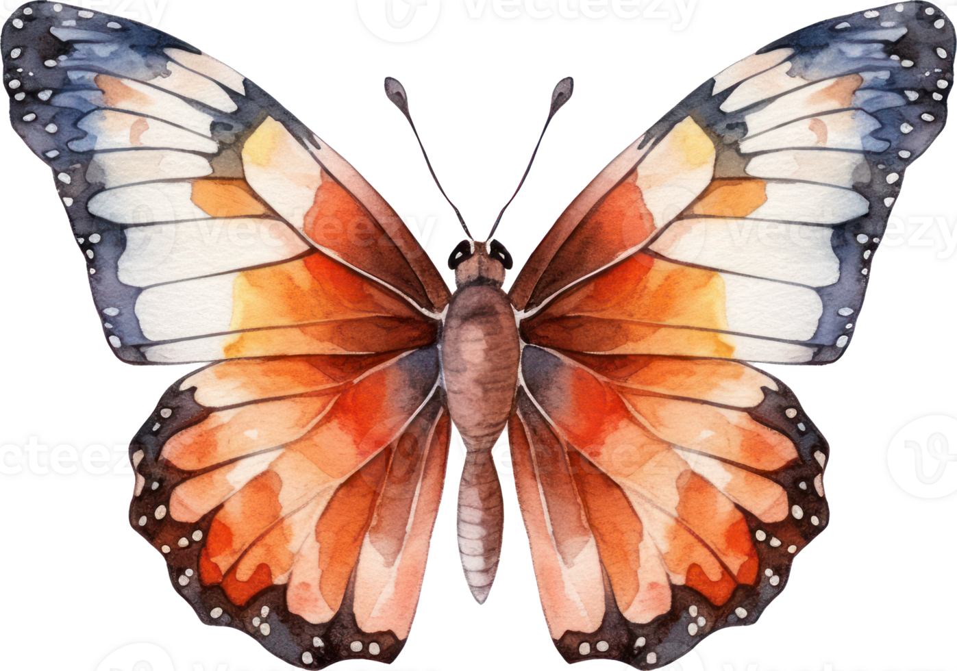 Butterfly Watercolor Illustration. png