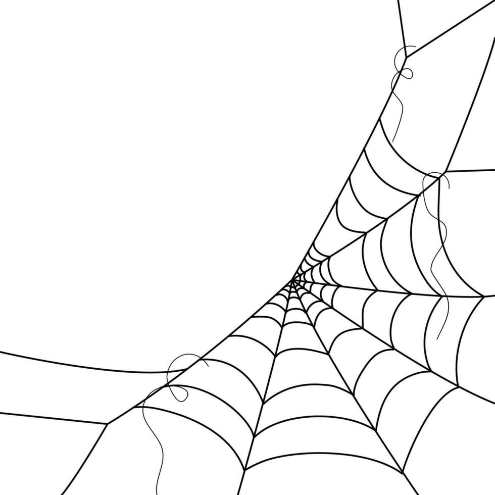 araña web fondos de pantalla telaraña antecedentes. ilustración de un web. vector araña web en blanco. araña web elementos para decoración. telaraña.