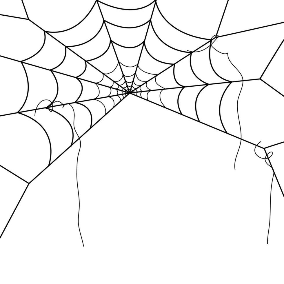 araña web fondos de pantalla telaraña antecedentes. ilustración de un web. vector araña web en blanco. araña web elementos para decoración. telaraña.