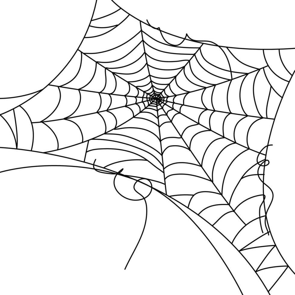 araña web fondos de pantalla telaraña antecedentes. ilustración de un web. vector araña web en blanco. araña web elementos para decoración. telaraña.