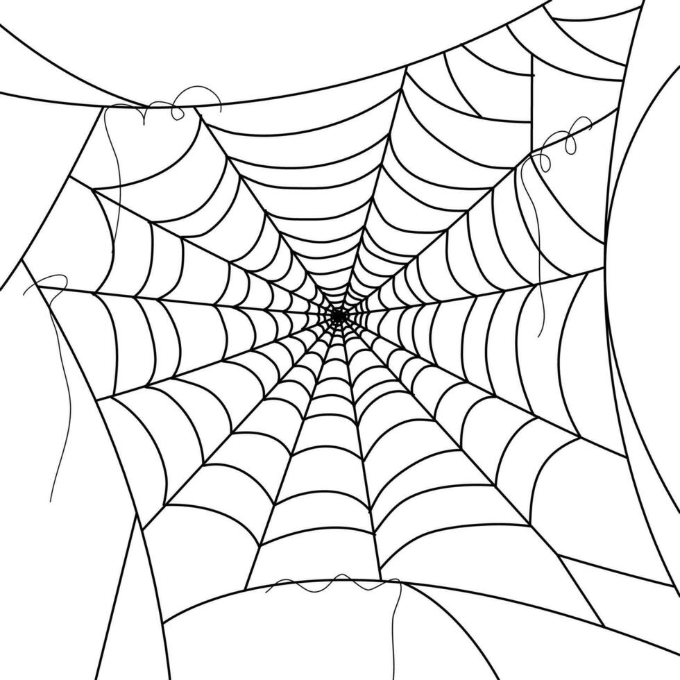 araña web fondos de pantalla telaraña antecedentes. ilustración de un web. vector araña web en blanco. araña web elementos para decoración. telaraña.