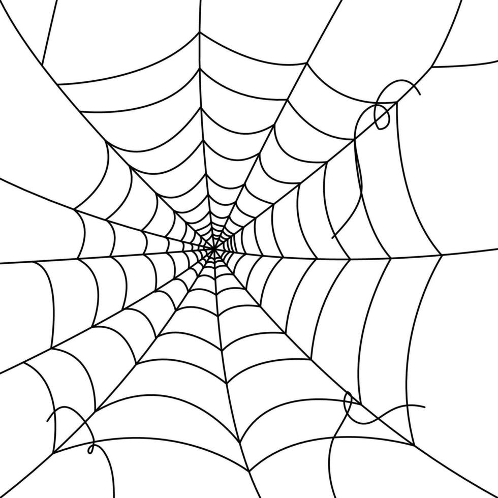 spider web wallpapers. cobweb background. illustration of a web. Vector Spider web on white. Spider web elements for decor. spiderweb.