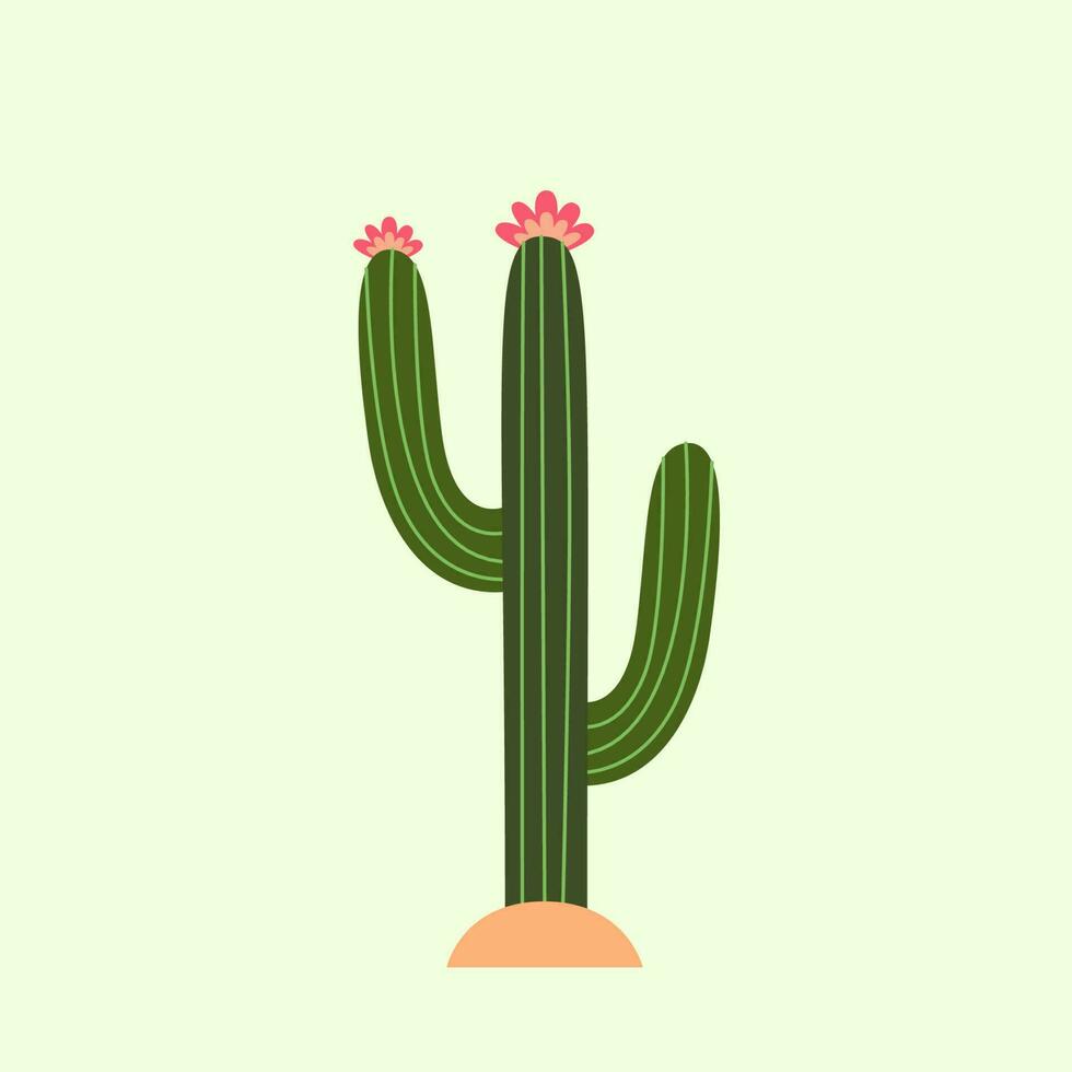 cactus vector ilustración. vector cactus con flores cactus plano estilo.