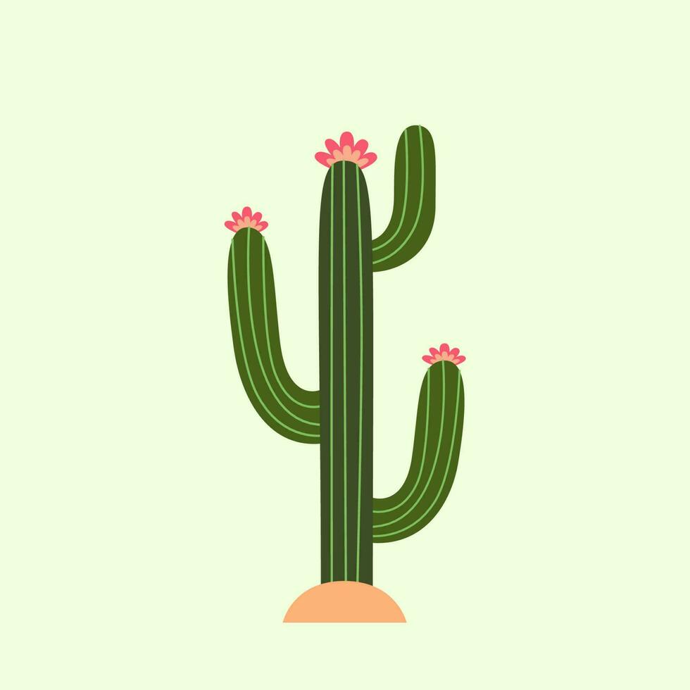 cactus vector illustration. vector cactus with flowers. Cactus flat style.