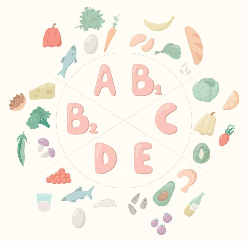 Vector cartoon illustration. Important vitamins for the human body and life, A, B, C, D, E. Healthy food vegetables, fruits and fish.