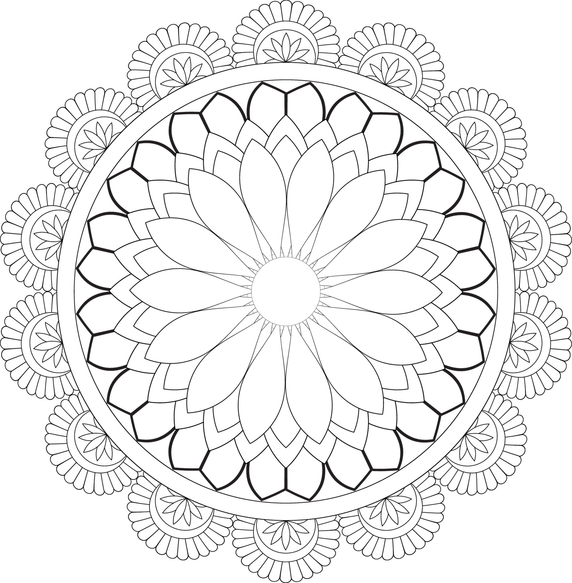 vector-drawing-for-coloring-book-geometric-floral-pattern-contour