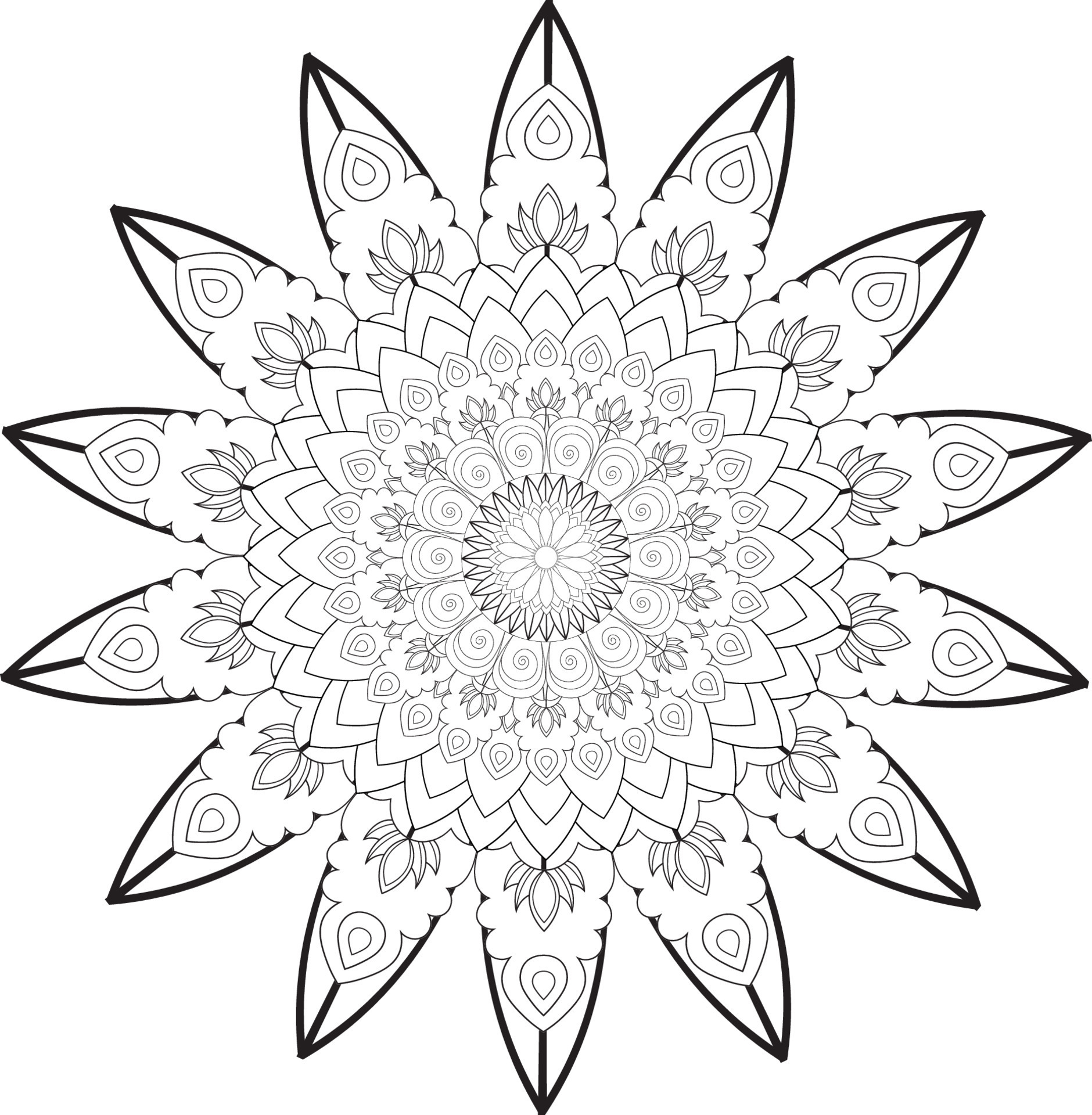 vector-drawing-for-coloring-book-geometric-floral-pattern-contour