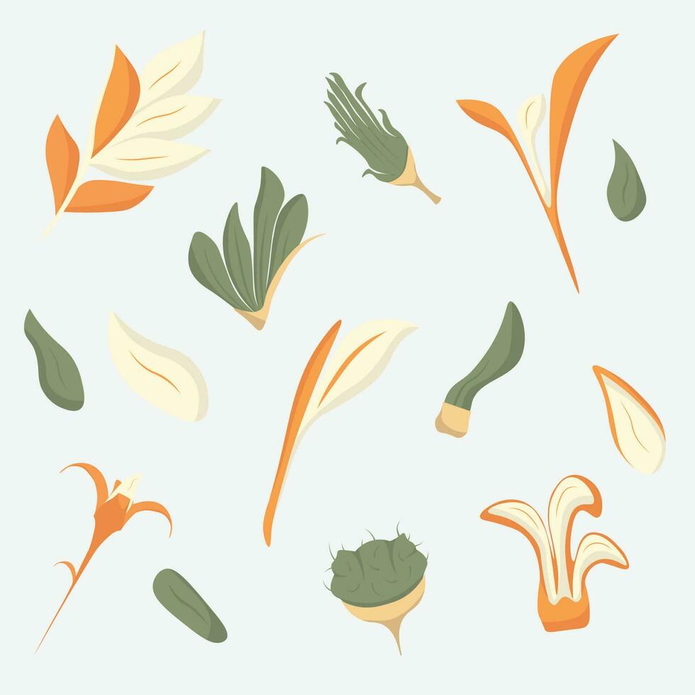 set of hand drawn green and orange leaves different forms. Vector flat illustraton