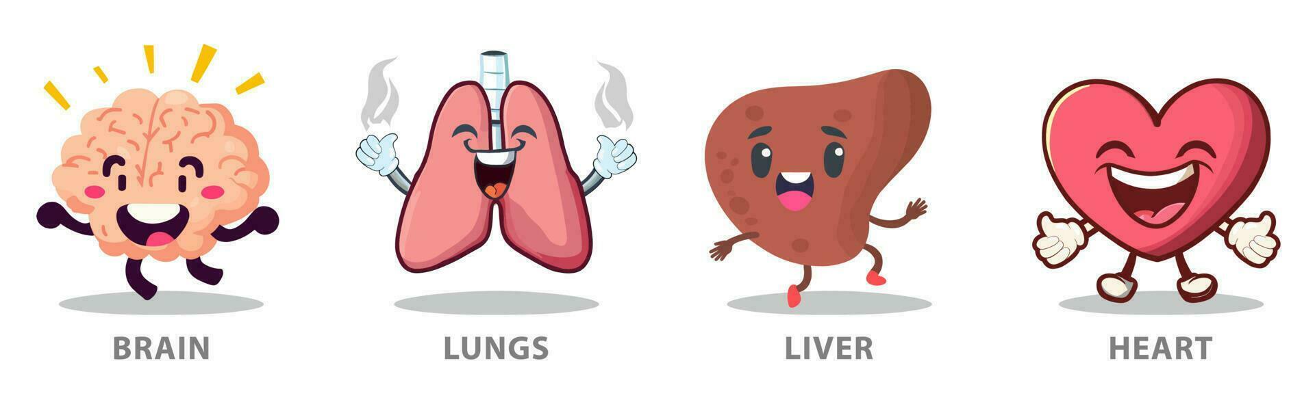 Cartoon set of happy cheerful human organs. Brain, lungs, liver and heart. vector
