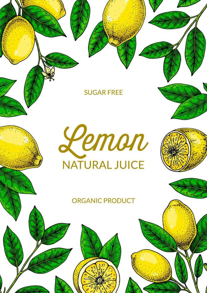 Vertical lemon background. Hand drawn colorful vector illustration in sketch stile. Design for packaging, invitation, greeting cards