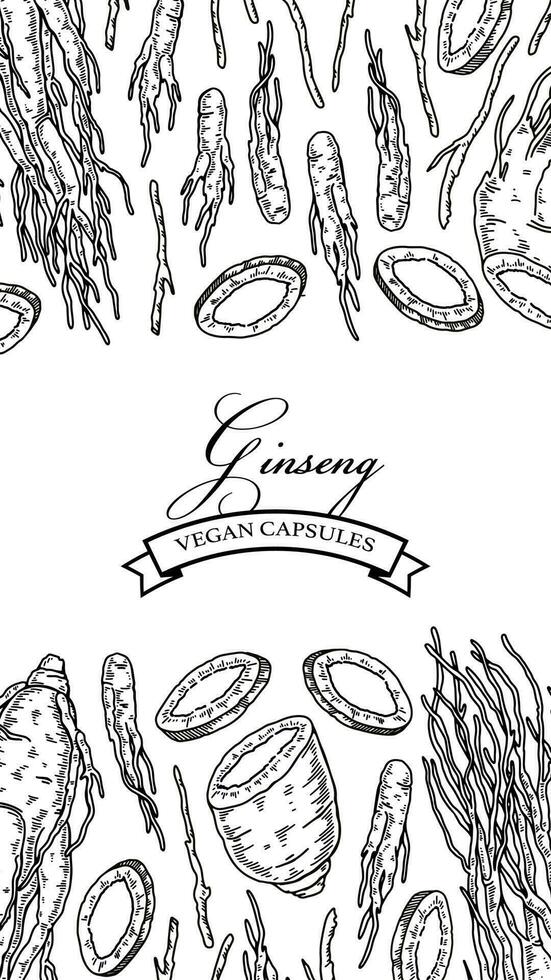 Ginseng vertical design. Hand drawn botanical vector illustration in sketch style. Can be used for packaging, label, badge. Herbal medicine background
