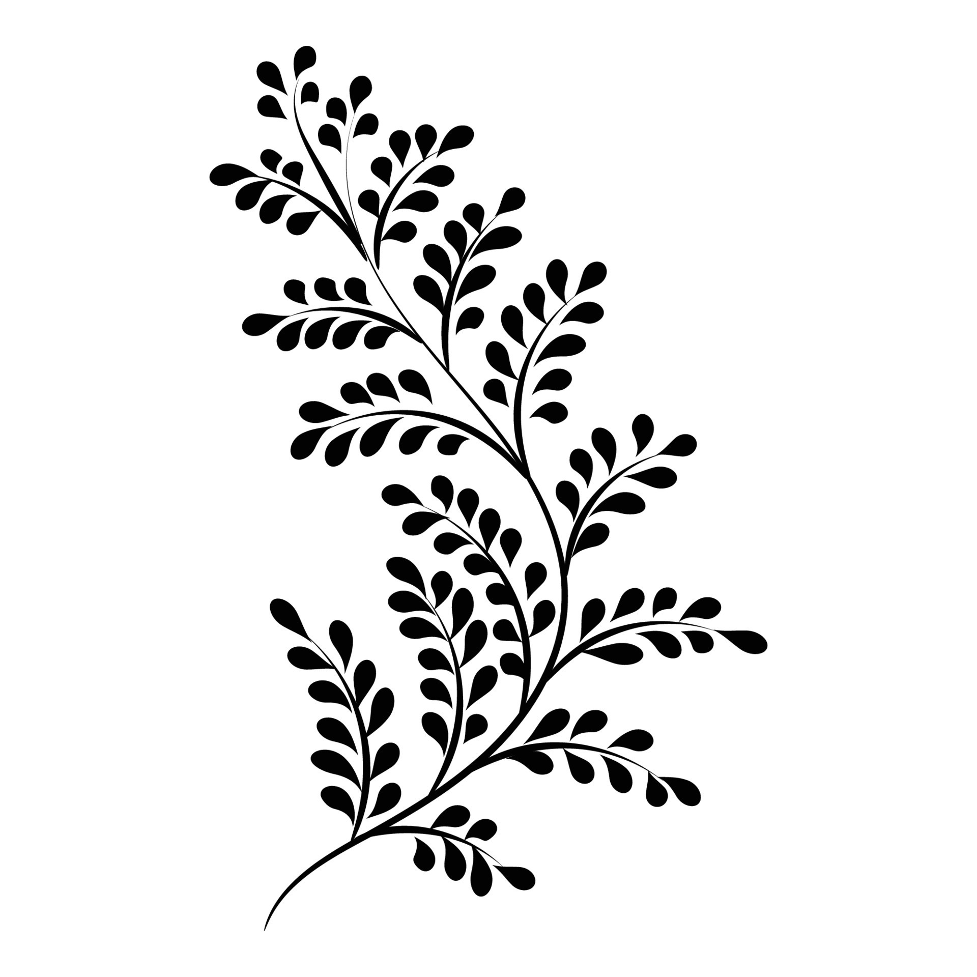 Black Silhouettes of Flower, Plant ornament. Floral and swirls design