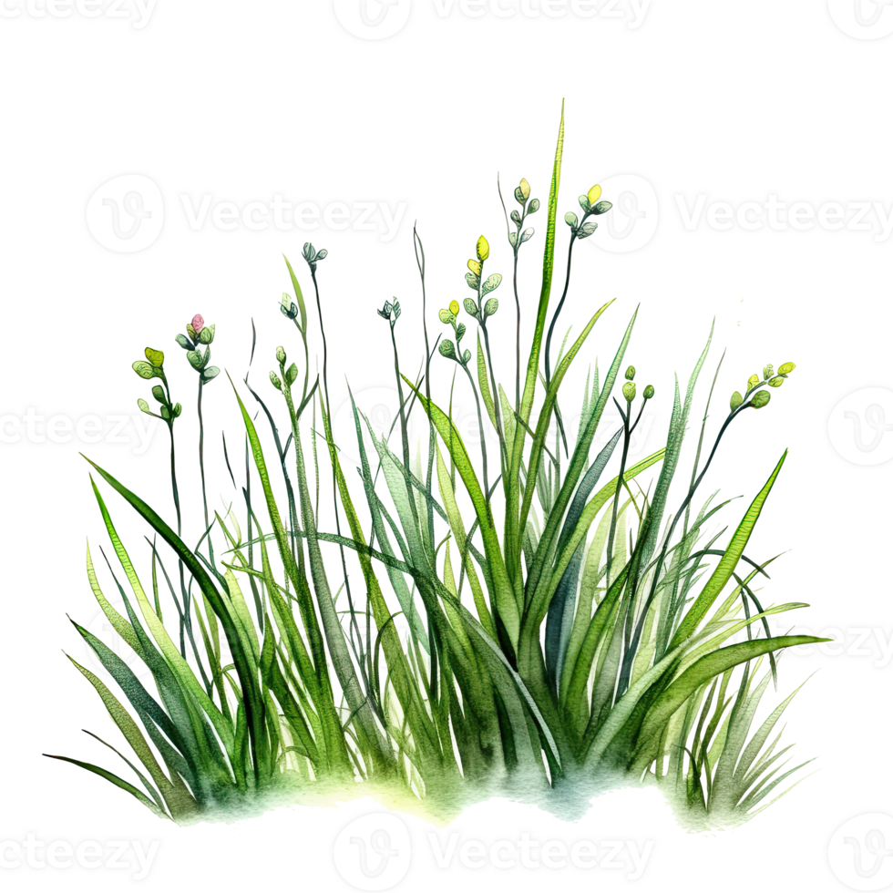 aguarela verde grama. ilustração ai generativo png