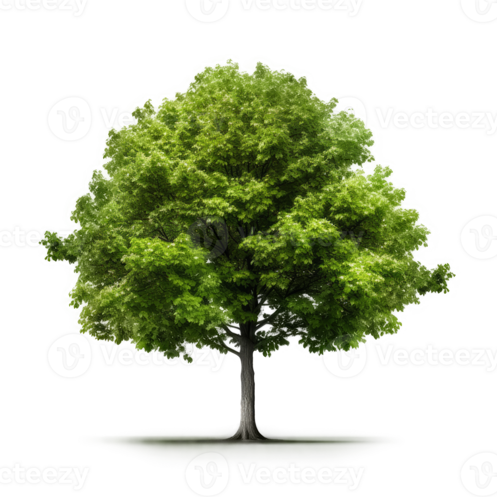 groen boom geïsoleerd. illustratie ai generatief png