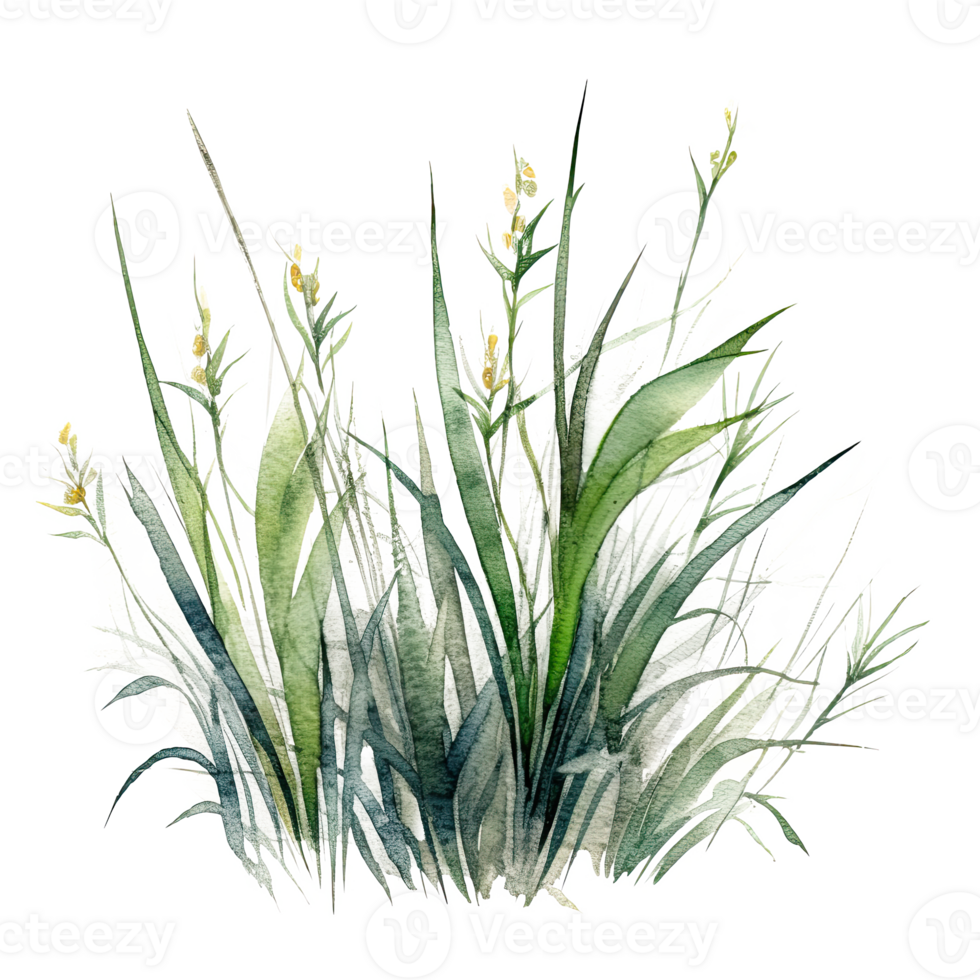 Watercolor green grass. Illustration png