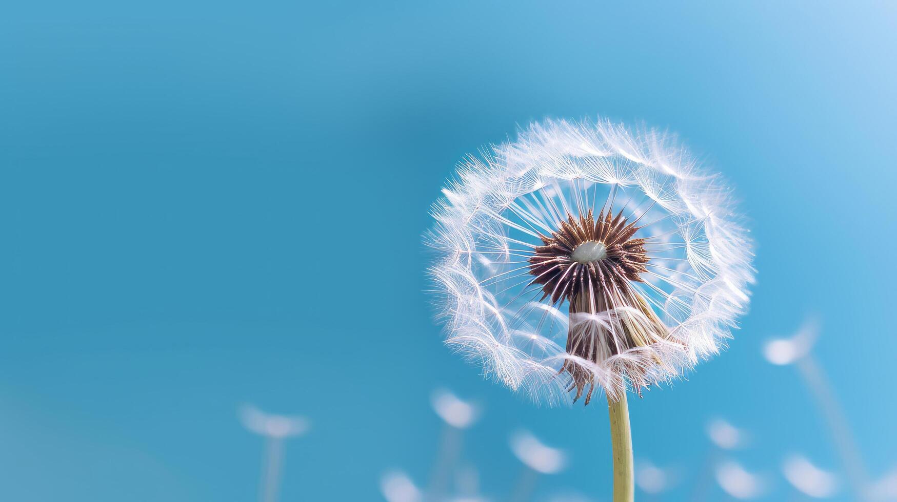 diente de león en azul antecedentes. ilustración ai generativo foto