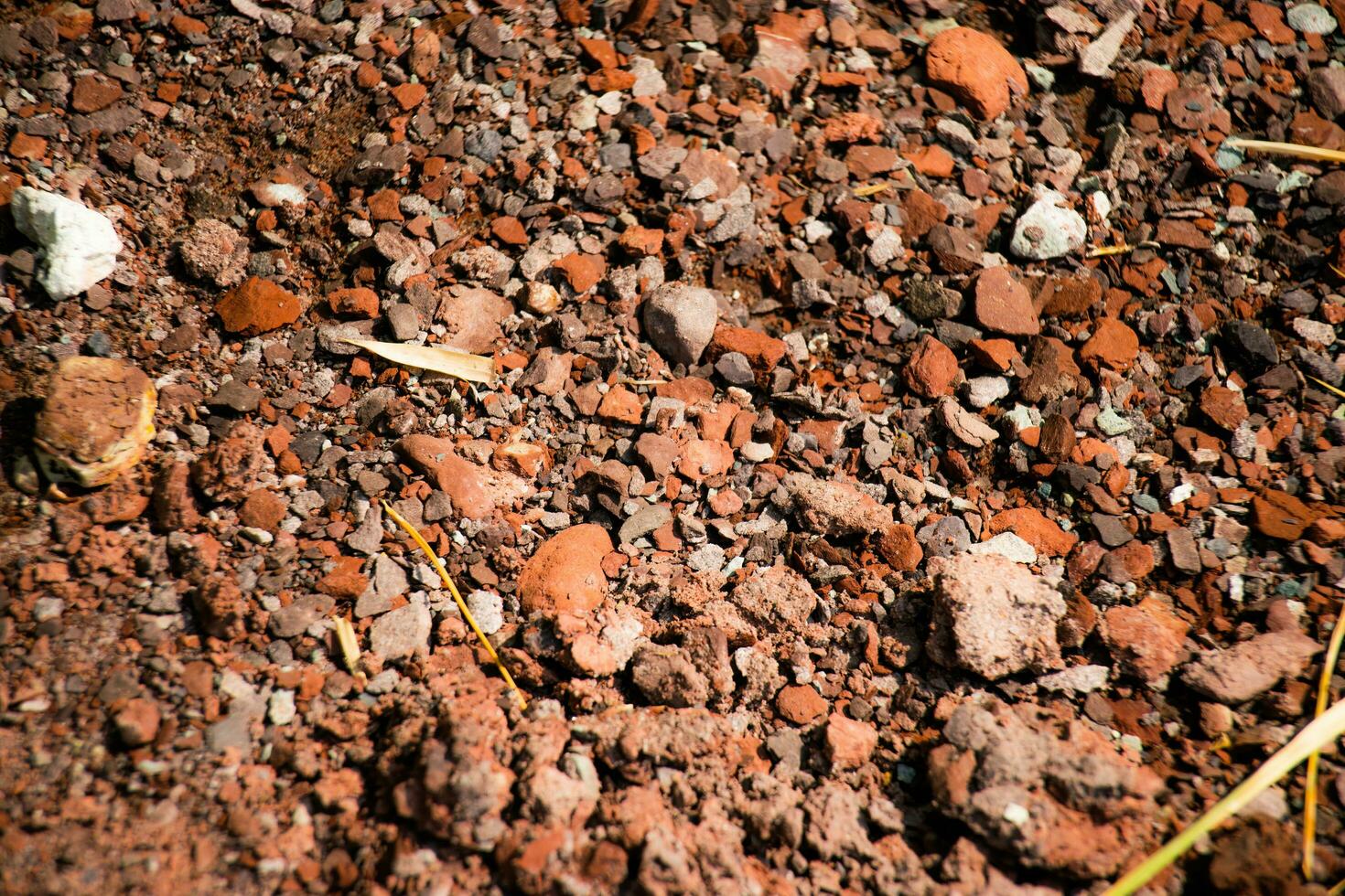 Small stones background. Stone texture. Rough surface of small pebble stone. photo