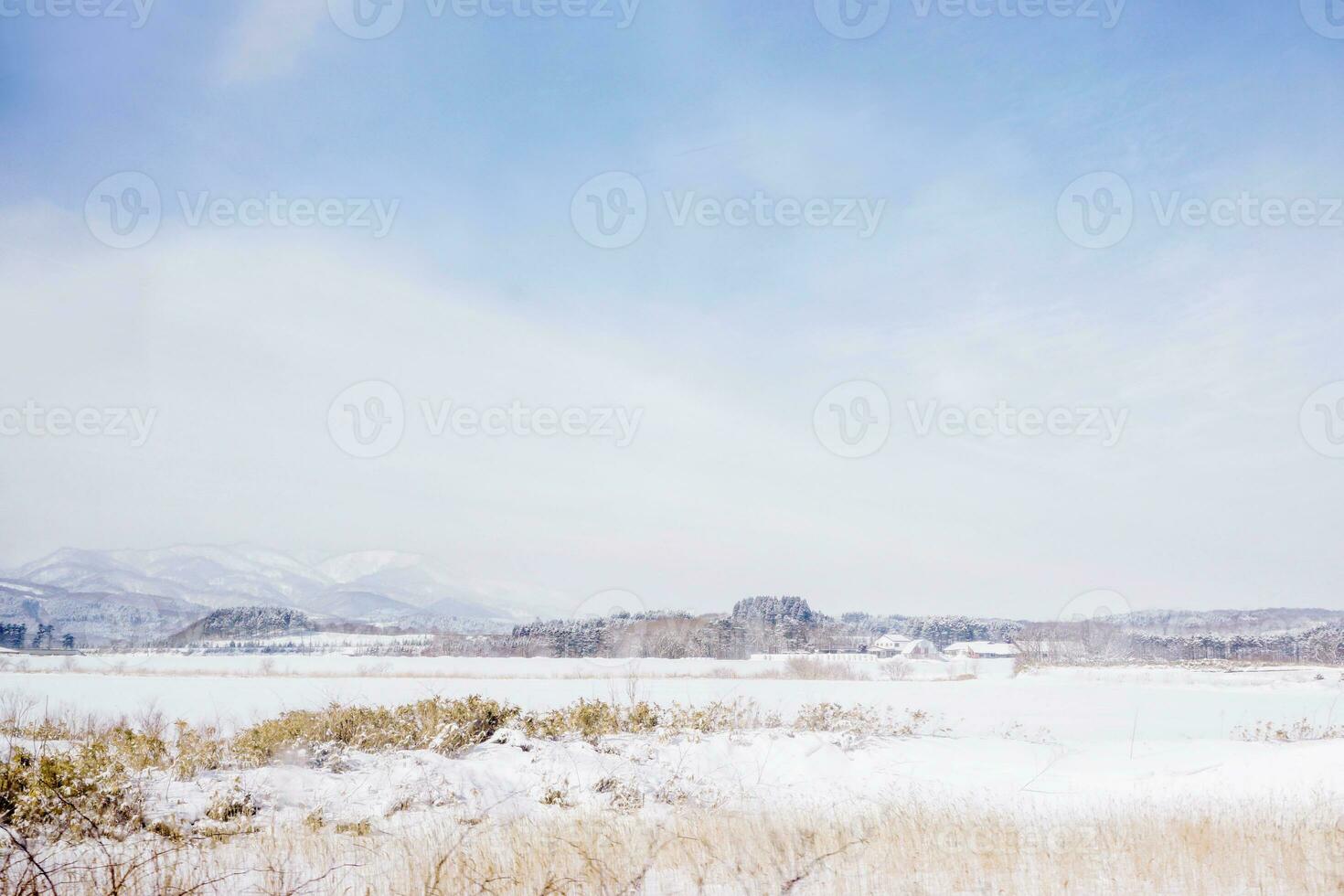 Beautiful scenic outdoor and nature view snow covered meadow of Sapporo countryside's winter under blue sky with winter cloud. photo