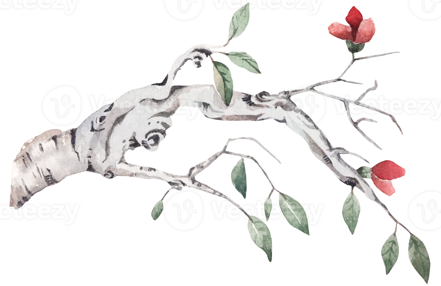 Hand drawn watercolor of twigs and leaves for autumn.Tree Branch.Suitable for nature style invitation card background decoration. png