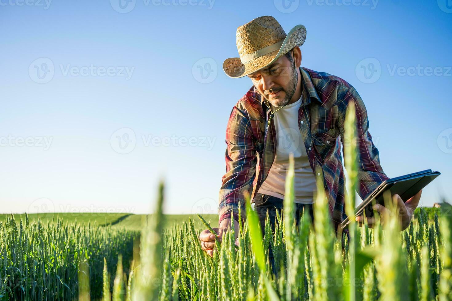 granjero hombre al aire libre por el cebada cosecha foto