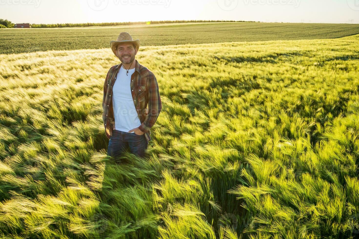 Farmer man outdoors by the barley crop photo
