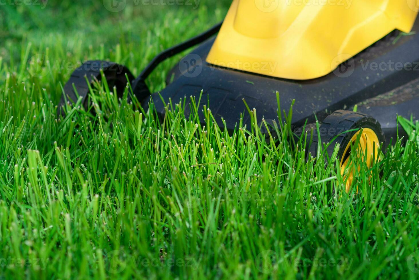 Lawn mower trimming grass, close up photo