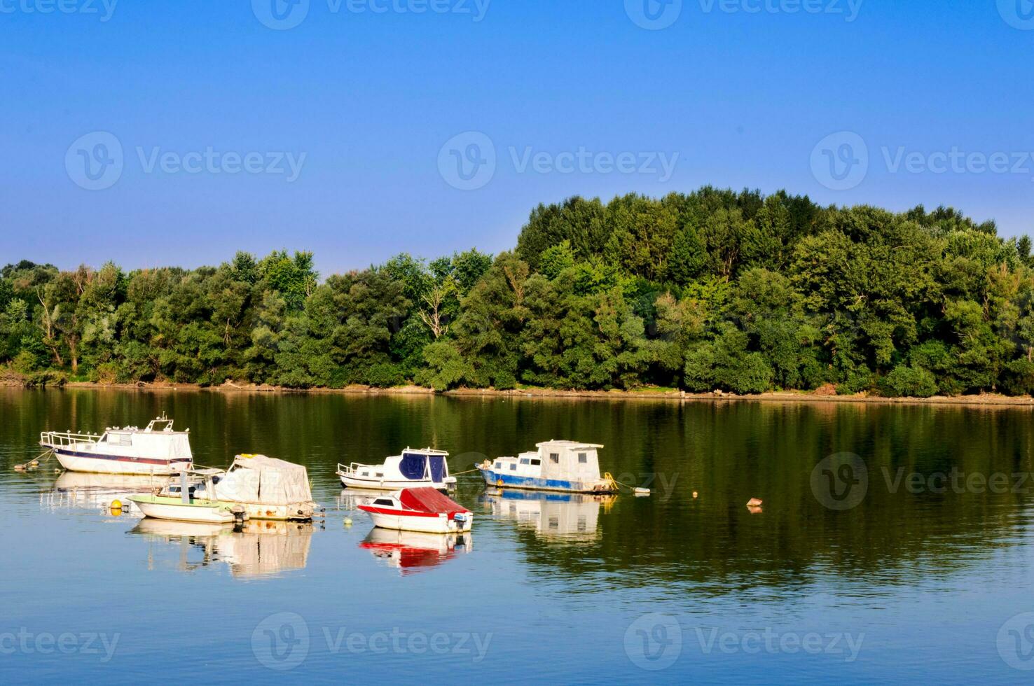Sava river landscape photo