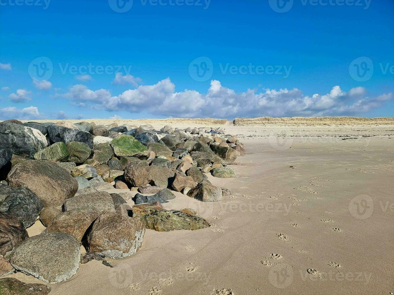 the endless beach at the northern sea Hvidbjerg Stranden Blavand Denmark photo