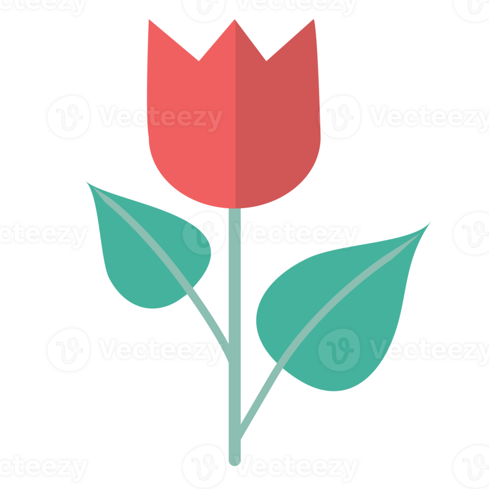 Red flower illustration png