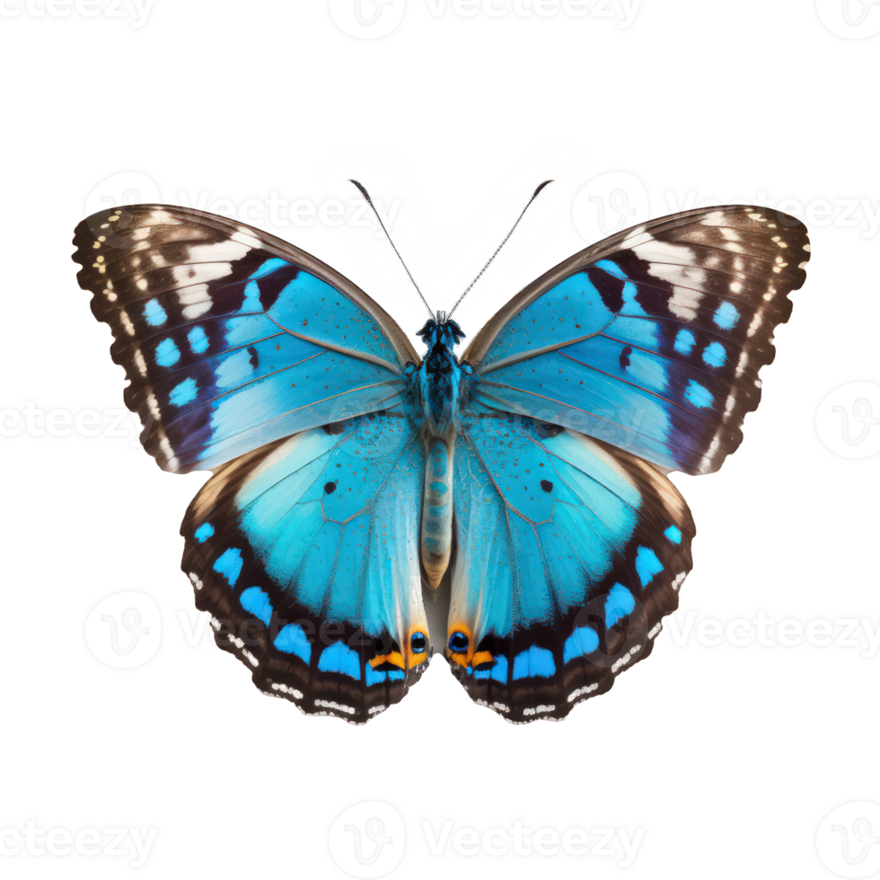 ein atemberaubend Blau Schmetterling anmutig Spreads es ist Flügel, scheinbar suspendiert im in der Luft gegen ein kristallklar, transparent hintergrund.generativ ai png