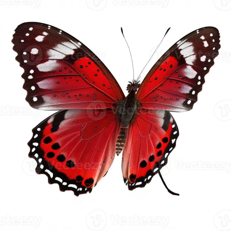 In this stunning image, a bright red butterfly is showcased against a transparent background, allowing the intricate patterns of its wings to be admired in all their glory. png