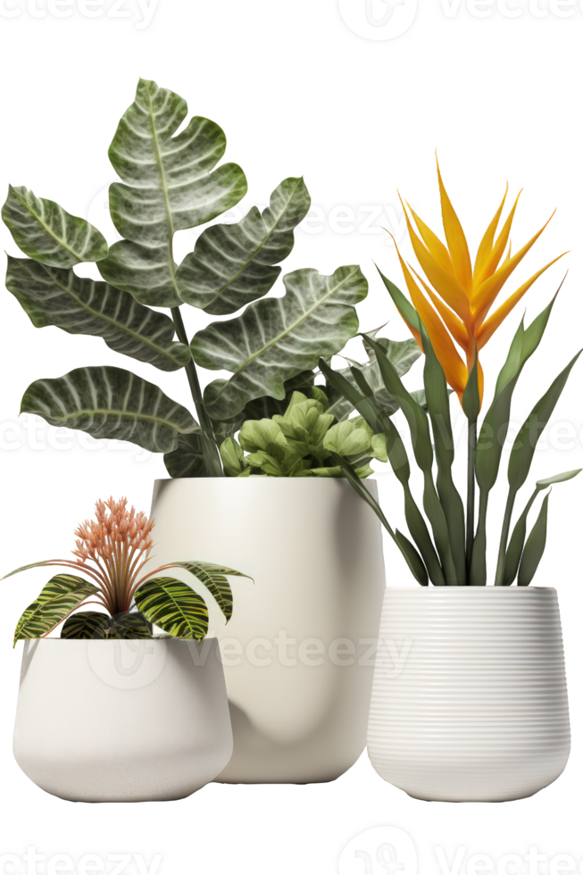 An elegant arrangement of lush green plants in intricately designed ceramic pots, showcased against a clear background, highlighting their natural beauty and sophistication. png