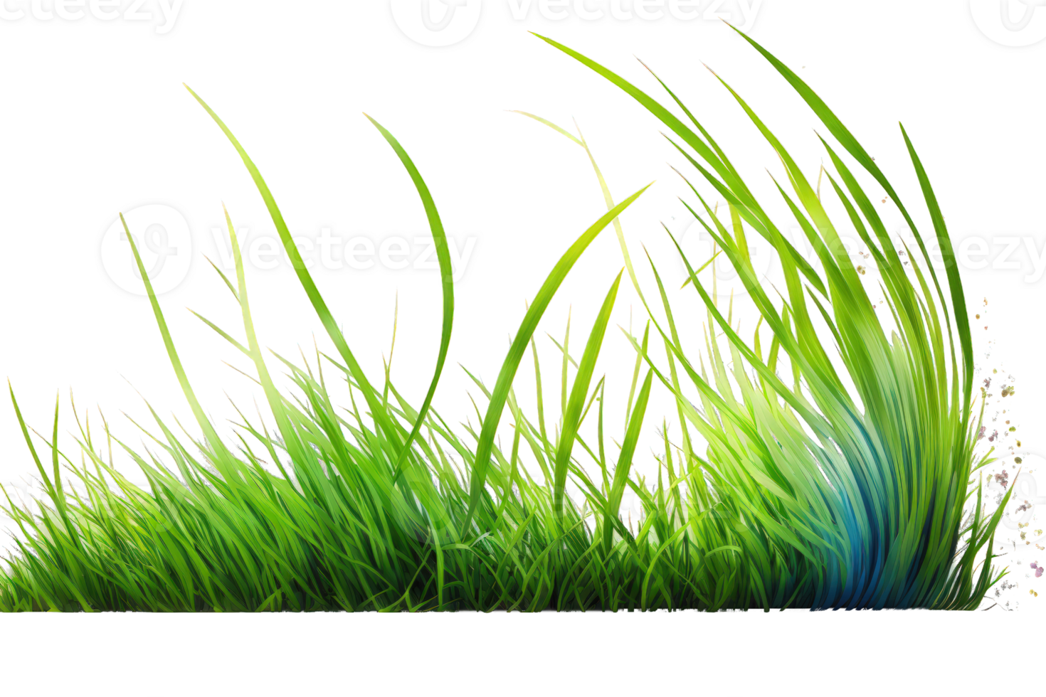 This image features a stunning line of lush green grass set against a transparent background, creating a striking and natural visual masterpiece. png