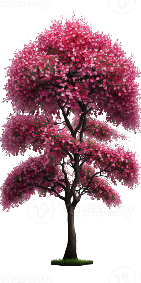 A stunning cherry tree, with delicate pink flowers and lush green leaves, stands majestically on a transparent background, highlighting its beauty and grace. png