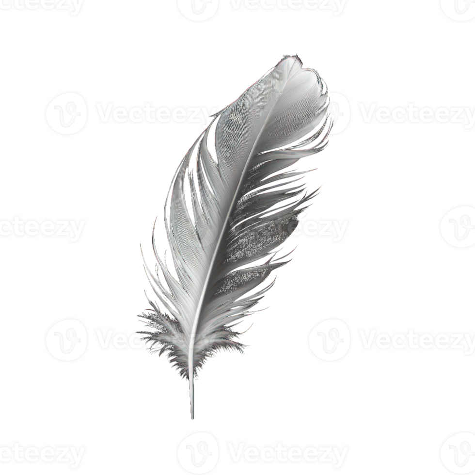 A single, pristine white feather floats gracefully against a transparent background, its intricate details and delicate texture rendered in stunningly realistic detail. png